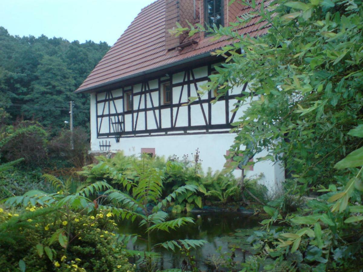Restaurant & Pension "Bauernhof Zum Silberbergwerk" Limabach - Oberfrohna Εξωτερικό φωτογραφία